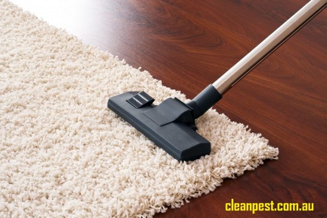 How to Have Quality Pest Control that is Environmentally Safe?