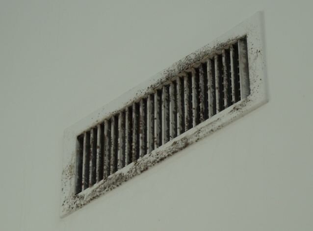 The remediation process of Mold Treatment