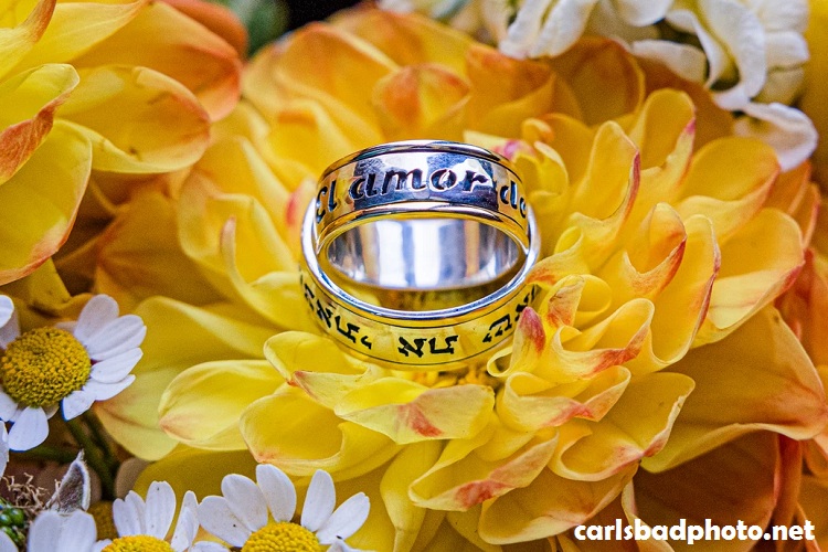 Wedding photography in San Diego seeking the best photographer