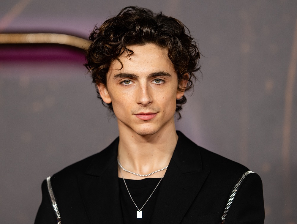 Timothée Chalamet Opera Debate Sparks Global Arts Discussion