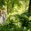 Choosing Your Best Vermont Wedding Photographer Style